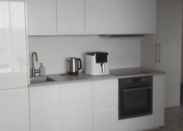 Apartament Buto Nuoma Druskininkuose *